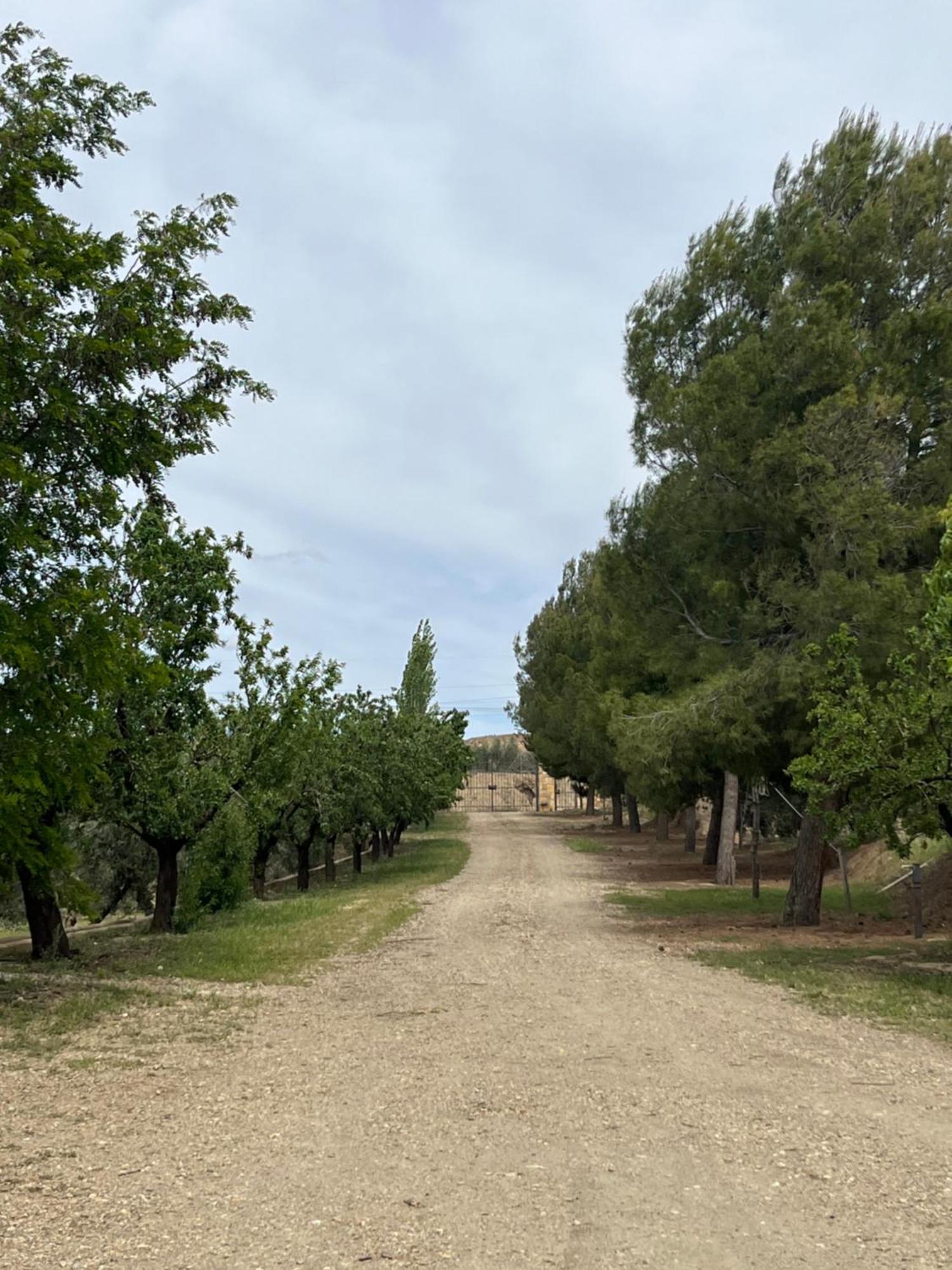 Cortijo Don Meliton Villa Guadix Buitenkant foto